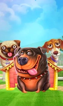 The Dog House