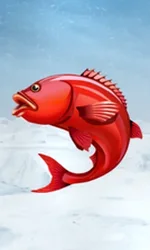 Ice Fishing